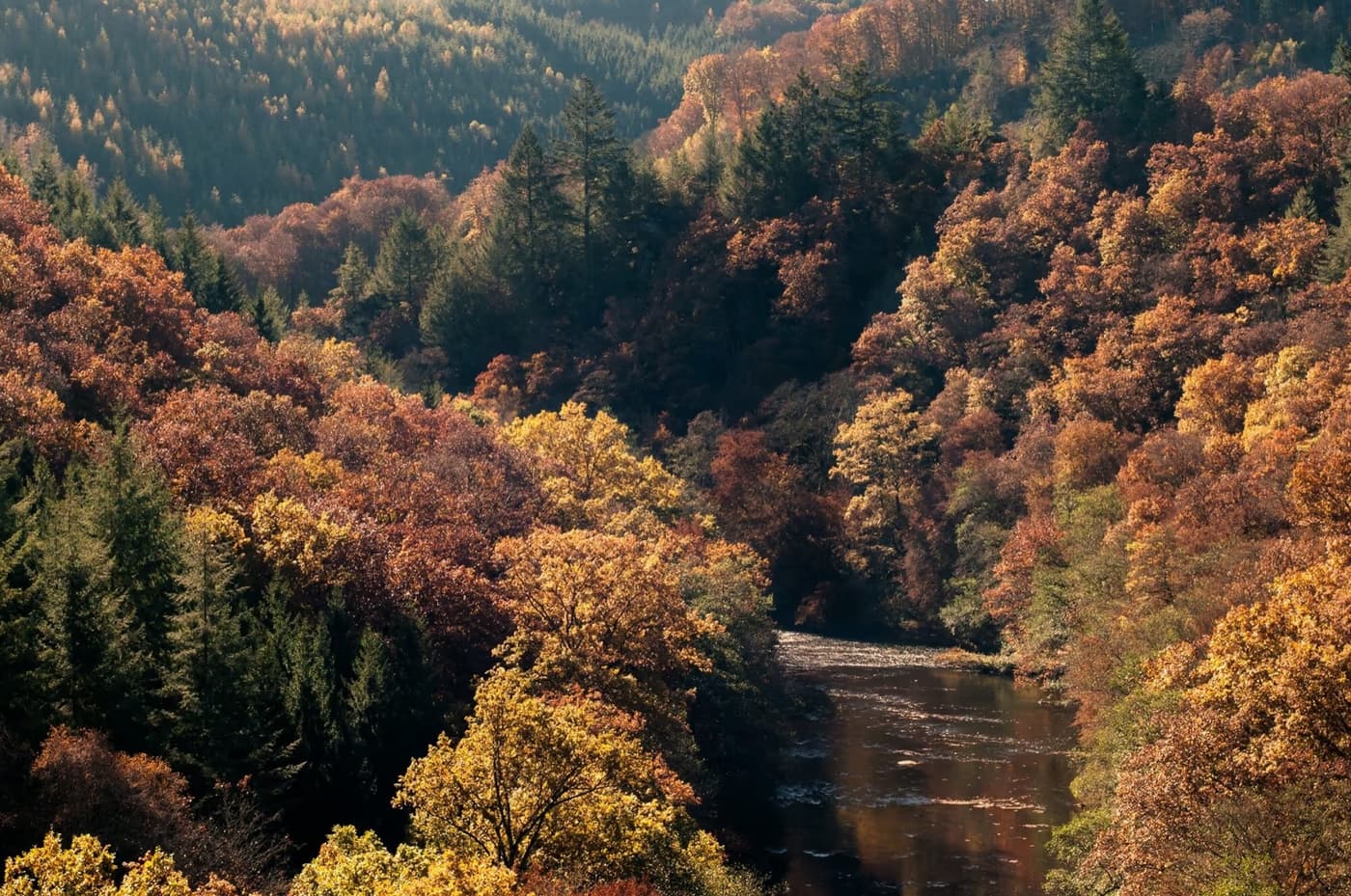 Balade en forêt autour de Libin