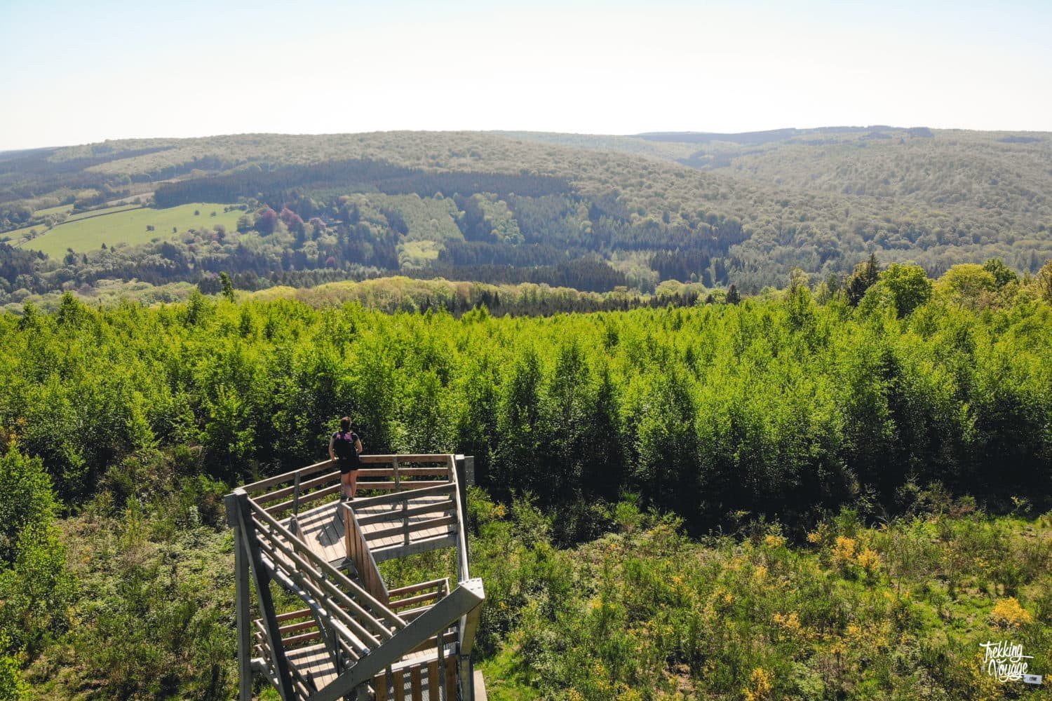Bois de Saint-Hubert