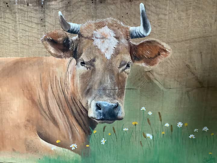 La Bergerie, photo du gîte 3